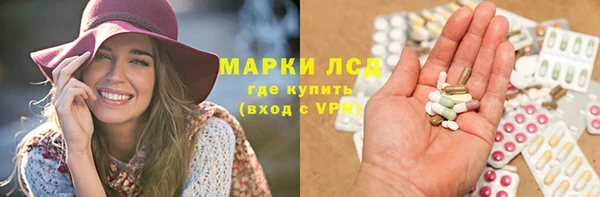 гашик Аркадак