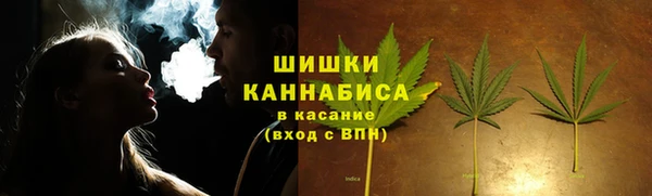 шишки Армянск
