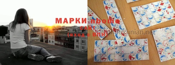 шишки Армянск